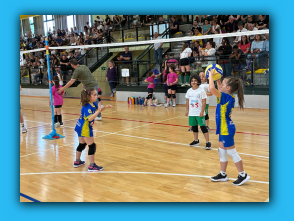 Volley S3 Malnate 26.04.26 (8).jpg